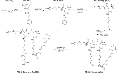 Scheme S1 The synthesis route of PEG-b-(PAsp-g-ss-RA/DMA).Abbreviations: PEG, polyethylene glycol; BLA-NCA, β-benzyl-l-aspartate-N-carboxy-anhydride; PBLA, poly(β-benzyl-l-aspartate-N-carboxy-anhydride); Cys, cystamine dihydrochloride; ATRA, all-trans-retinoic acid; DMA, 2,3-dimethylmalefic anhydride; DMF, N,N-dimethylformamide; RT, room temperature; TEA, triethylamine; EDC, 3 (ethyliminomethylideneamino)-N,N-dimethylpropan-1-amine,hydrochloride; NHS, n-hydroxysuccinimide; RA, all-trans-retinoic acid; 1H NMR, nuclear magnetic resonance.