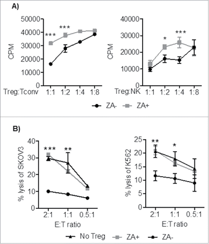 Figure 5. Treg were pretreated with OKT3, IL-2, +/− ZA, and co-cultured with CD4+ T cells and HLA-DR+ (1:1) or NK cells at different ratios (1:1-1:8) in the presence of OKT3 or IL-2 for 3 and 4 days respectively. A) Cell proliferation was measured by 3H-thymidine incorporation. Representative data are shown of three independent experiments mean ± SEM and statistical analyses were performed using Two-way ANOVA to analyze statistical differences between all groups. B) Following 3 days of preactivation with IL-2 and OKT3 in the presence or absence of ZA, Treg were co-cultured (1:2) with Her2-specific chimeric antigen receptor (CAR)-transduced T cells or NK cells and co-incubated with chromium 51Cr labeled Her2-expressing SKOV3 or K562 target cells respectively at different E:T ratio (2:1-0.5-1) for 18 hours. Representative data are shown from three independent experiments mean ± SEM and statistical analyses were performed by Two-way ANOVA to analyze statistical differences between all groups.