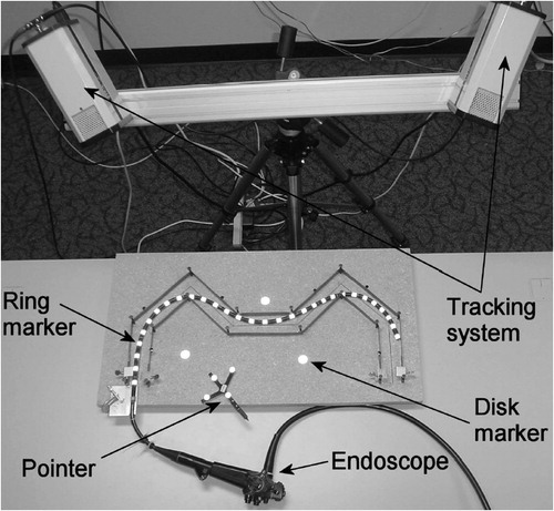 Figure 13 Experimental setup. Olympus GIF-100 with retro-reflective markers inserted into an “M”-shaped calibration path. The endoscope's shape (centerline) was measured in 3D space, using an optical stereo tracking system.
