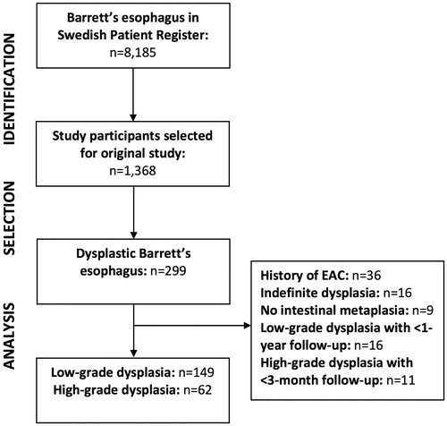 Figure 1. Flowchart of the identification and selection of the final study cohort available for analysis. EAC: esophageal adenocarcinoma.