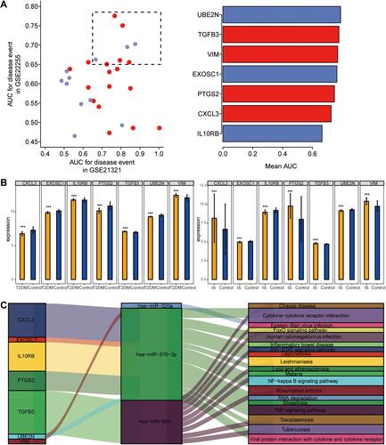 Figure 5 Regulation of mRNAs by miRNAs in T2DM and ischemic stroke. (A) Areas under the receiver operating characteristic curves (AUCs) describing the ability of mRNAs regulated by differentially expressed miRNAs from the GSE21321 and GSE22255 datasets to predict T2DM or ischemic stroke (red, mRNA up-regulated in the disease condition; blue, mRNA down-regulated). (B) Differences in key gene expression between controls and patients with T2DM (left) or ischemic stroke (right). ***P < 0.001. (C) Comprehensive network diagram of target genes regulated by miRNAs involved in KEGG signaling pathways.