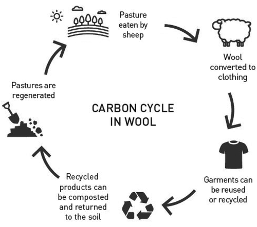 Figure 4. Carbon cycle in wool fibers (Australian Wool Innovation Limited Citation2019)