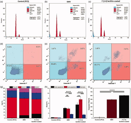 Figure 5. Mechanisms of cytotoxicity studies: (a–c) Cell cycle study, (d–f) Annexin V/Propidium iodide apoptosis assay (LL, viable; LR, early apoptotic; UR, late apoptotic; UL, necrotic), (g) Cell distribution in different cell cycle phases, (h) Cell distribution on early apoptotic, late apoptotic and necrotic, and (i) Protein level of caspase-3 at their IC50 concentrations of SMV, and final formula, lecithin-coated F (1:4) NPs. Data are represented as mean ± SD (*p < .05, **p < .01, ***p < .001, ****p < .0001 and n ≥ 3).