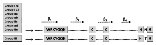 Figure 1. The consensus WRKY domain for each WRKY group in higher plants. The WRKY motif, the cysteines, and histidines that form the zinc finger are shown in boxes. The 4 β-strands are shown with arrows. I CT and I NT denote the N-terminal and C-terminal WRKY domains from group I WRKY proteins.
