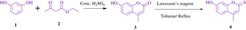 Scheme 2. The synthetic route of 7-hydroxy-4-methyl-2-thiocoumarin.