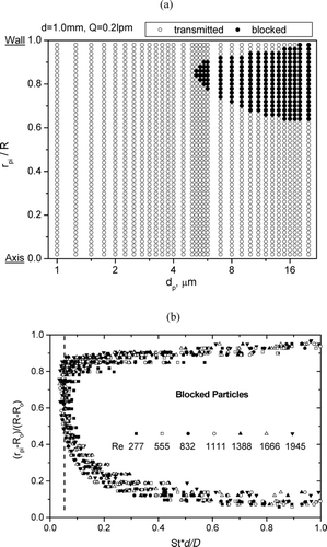 FIG. 3 (a) A typical phase diagram for particle transmission. The open and filled circles denote particles with a certain diameter and initial radial position to be transmitted and to be blocked, respectively. (b) Loci separating blockage from transmission of particles for orifice diameters of 1.0, 0.75, 0.6, and 0.3 mm.