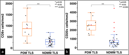 Figure 2. T- and B-cell densities in TLS from PDM and NDMM. Box plots of CD8+ T-cell (A) and CD20+ B-cell (B) densities within TLS from PDM and NDMM are plotted. The central box represents values from the lower to upper quartile, 25th to 75th percentile. The middle bar identifies the median, the maroon diamond depicts the mean, whiskers show minimum and maximum, and outliers are shown as red squares. Statistical comparisons were made by Mann-Whitney U test; ***p < .001.