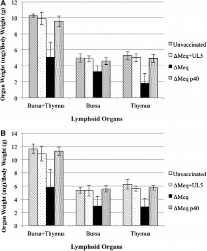 Figure 2. Weight of lymphoid organs in vaccinated and unvaccinated birds at 15 dpv relative to total body weight in Trial 1 (Panel A) and Trial 2 (B).