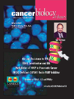 Cover image for Cancer Biology & Therapy, Volume 4, Issue 7, 2005