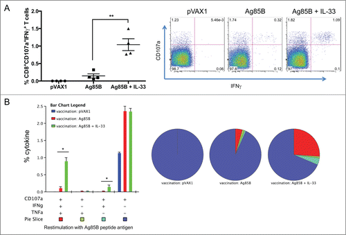 Figure 4. IL-33 promotes Ag85B-specific cytotoxic degranulating CD8+ (T)co-expressing IFNγ and TNFα. (A) Ag85B-specific, cytolytic-degranulation CD8+ T cells were measured by degranulation marker expression, CD107a and IFNγ. (B) shows the frequency of polyfunctional CD8+ T cells co-expressing CD107a. Data represent the SEM of 4 mice per group. The experiment was repeated twice with similar outcome. **P < 0.01, *P < 0.05 using Student's t-test.