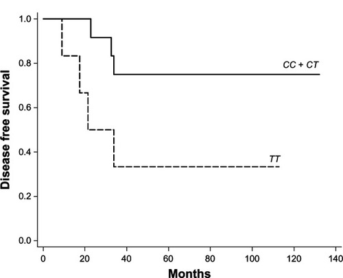 Figure 1 Kaplan–Meier probabilities of disease-free survival in patients treated with adjuvant tamoxifen in relation with CYP2D6 genotype, according to CYP2D6 (100C>T and 1039C>T) homozygous CC and heterozygous CT versus homozygous TT in post-menopause.