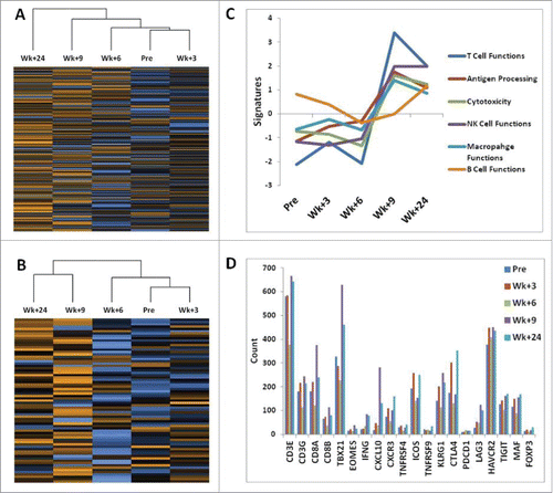 Figure 3. Multiplexed gene expression analysis of PBMC samples using nCounter PanCancer Immune Profiling Panel. (A) shows hierarchic clustering of 5 PBMC samples for 730 immune profiling genes and (B) shows clustering for 71 selected genes to assess T cell functions. The heat map in (B) shows complete segregation of the PBMC samples at weeks 9 and 24 after initiation of treatment from the remaining samples at weeks 6, 3, and Pre-treatment. Heat maps present normalized data scaled to give all genes equal variance (Fig. S2). Orange indicates high expression; blue indicates low expression. (C) depicts immune function pathway scores plotted to show how they vary across time during treatment. Lines show each pathway's average score of their transcriptomes. The T cell functions and associated immune response categories peak at week 9. The list of genes that define pathways is included in the supplementary Table S1. (D) shows the expression of genes encoding selected stimulatory and inhibitory molecules that play a major role in pathways determining the balance between activation/duration and inhibition/exhaustion of T cell immune responses.