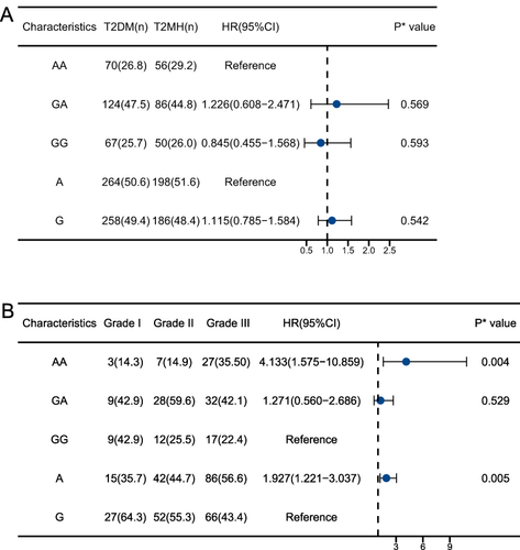 Figure 2 Analysis of regression. (A) T2DM vs T2MH, P* Value was adjusted by blood pressure, FBG and ACTH as covariates (B) Grade I vs Grade II vs Grade III, P* Value was adjusted by age and plasma creatinine as covariates.