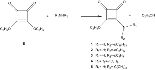 Scheme 1.  General procedure for the synthesis of 4-amino-3-ethoxy-3-cyclobutene-1,2-diones.