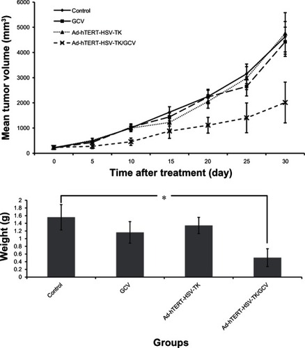 Figure 3 (A and B) Comparison of tumor weight and volume in a nude mice model of renal cell carcinoma (RCC). (A) growth curve of nude mice RCC. (B) Tumor weight of nude mice RCC.