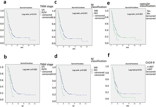 Figure 3 Several clinical parameters significantly related to patient prognosis. (a and b) Patients in stage I/II TNM tended to have longer disease-free survival (DFS) and overall survival (OS) than those in stage III/IV (p=0.016 and p=0.002). (c and d) Patients with an M0 classification tended to have longer DFS and OS than those with an M1 classification (p=0.031 and p=0.026). (e) Patients without capsular invasion tended to have longer DFS than those with capsular invasion (p=0.053). (f) Patients in the low CA19-9 group (<467 U/mL) tended to have longer DFS than those in the high CA19-9 group (≥467 U/mL) (p=0.04).