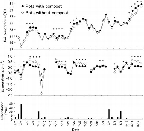 Figure 1 Soil temperatures in the pots and evaporation from the pots with and without compost and precipitation in 2007. *P < 0.05 (t-test).
