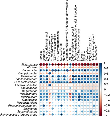 Figure 4. The bubble chart showing the correlations between caecal microorganisms and metabolites. Results with Pearson correlation coefficient > 0.6and p < 0.05 were considered significant. *p < 0.06; **p < 0.01; ***p < 0.001.