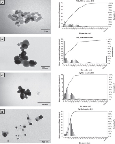 Figure 1. Example transmission electron microscopy images of ENMs and their salt metal or bulk controls in 100 mg l−1 Milli-Q water solutions showing (A) TiO2 NPs, (B) bulk TiO2, (C) Ag NPs, (D) AgNO3, (E) CL silica NPs, (F) HS-30 silica NPs and (G) silica MPs. Image H shows the saline–BHI + 2% sucrose media where the presence of the NaCl crystals is apparent. The respective nanosight graphs show the particle distribution (bin sizes are hydrodynamic diameter) of the nanomaterials and their salt metal or bulk controls in 100 mg l−1 saline-BHI + 2% sucrose solutions.