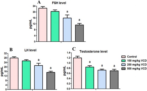 Figure 6. Circulatory concentrations of follicle-stimulating hormone (FSH), luteinizing hormone (LH) and testosterone in experimental rats following 28 consecutive days of VCD treatment in rats. Each bar represents mean ± SD of 10 rats. aP < 0.05 versus Control.