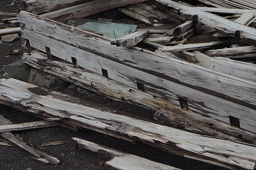 Figure 10. Detail of the remains of the magistrate’s Villa in Whalers Bay on Deception Island affected by fungal decay.