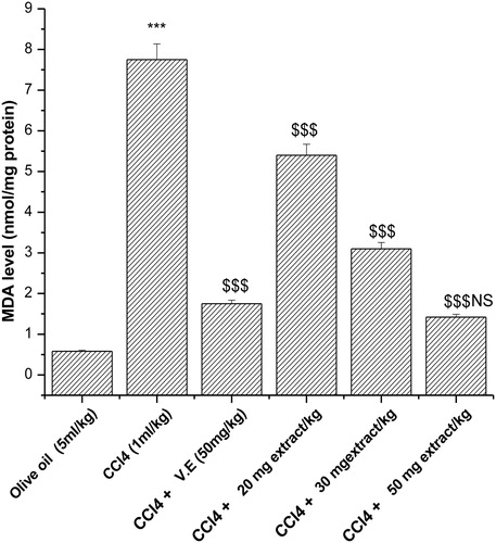 Figure 4. Effect of aqueous extract of P. hexandrum on lipid peroxidation in CCl4-treated rats. V.E stands for vitamin E. Values represent mean ± SD of seven animals in each group. ***P < 0.001 when compared with olive oil only, $$$P < 0.001 when compared with the CCl4 group, NS, non-significant when compared with CCl4 + V.E.