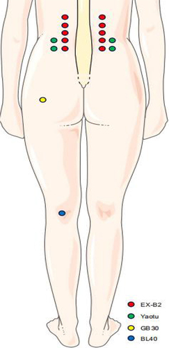 Figure 2 Locations of acupoints.