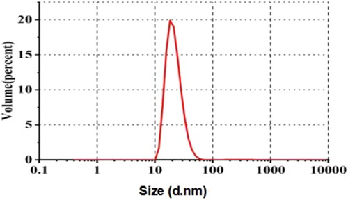 Figure 3. Particle size distribution of ISL-NE.