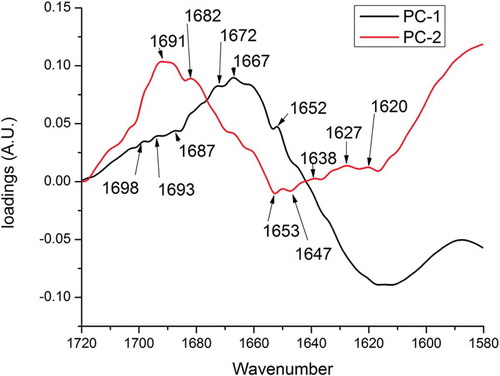 FIGURE 5 PCA loadings plots of the FTIR spectra in the 1720–1580 cm-1 amide I region.