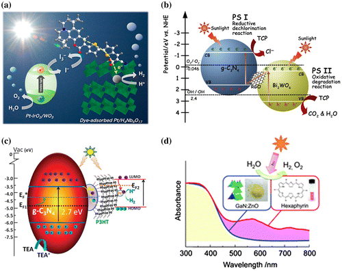 Figure 11. Z-scheme-type organic–inorganic composite system for photocatalytic hydrogen production. (a) Dye-sensitized nanosheet with WO3 hybrid system. Reprinted with permission from Ref. [Citation138]. Copyright 2013 American Chemical Society. (b) RGO-mediated C3N4–BiWO4 hybrid Z-scheme-type photocatalyst. Reprinted with permission from Ref. [Citation140]. Copyright Elsevier. (c) Au-mediated C3N4–P3HT hybrid Z-scheme-type photocatalyst. Reprinted from Ref. [Citation145] with permission from The Royal Society of Chemistry. (d) Hexaphyrin–GaN:ZnO composite photocatalyst. Reprinted from Ref. [Citation153] with permission from The Royal Society of Chemistry.