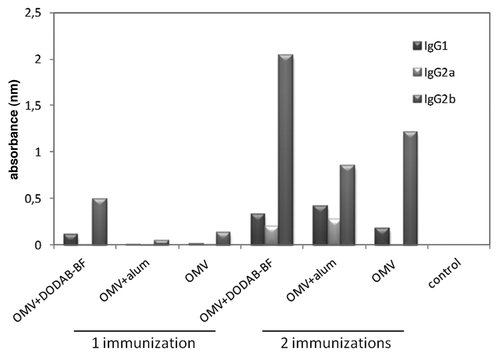 Figure 3. Levels of IgG1, IgG2a and IgG2b in the sera of immunized animals. The serum of 6 animals per group was collected 45 after immunization, pooled analyzed by ELISA.