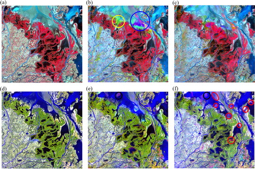 Figure 3. False color images of observed and blended reflectance: observed TM reflectance (a and d); blended reflectance predicted by customized model (b and e); and blended reflectance from ESTARFM for 28 October 2004 (c and f). Green, red, and near infrared (NIR) bands were assigned to blue, green, and red in images along top row (a–c), and blue, shorter portion of shortwave infrared (S-SWIR), and longer portion of shortwave infrared (L-SWIR) bands were assigned to blue, green, and red in images along bottom row (d–f).