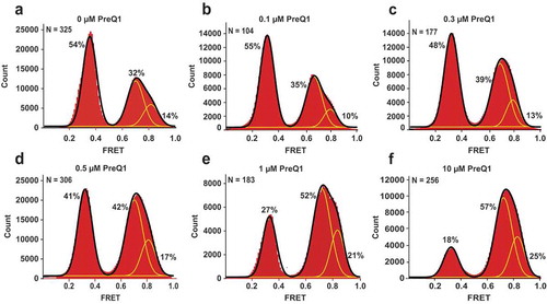 Figure 2. PreQ1 stabilizes preQ1-II riboswitch conformations that sequester the SD sequence into intramolecular core structure. Histograms compiled from hundreds of smFRET traces show the distribution of the FRET values for the riboswitch imaged in the absence of Mg2+. PreQ1 concentration was varied as follows: (a) no preQ1, (b) 0.1 μM, (c) 0.3 μM, (d) 0.5 μM, (e) 1.0 μM and (f) 10 μM. Yellow lines represent individual Gaussian fits; black lines indicate the sum of Gaussians. The fraction of the riboswitch in each FRET state derived from Gaussian fits is shown next to respective individual Gaussian peaks. N equals the number of single-molecule traces compiled.