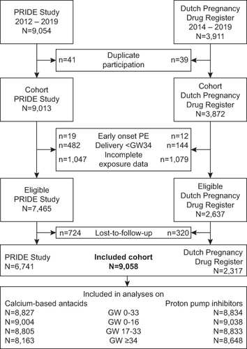 Figure 1 Flow chart of participation. GW, gestational week; PE, preeclampsia.