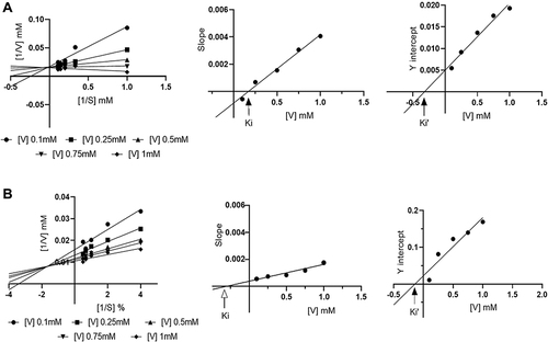 Figure 4 Lineweaver–Burk plots of inhibition kinetics of α-glucosidase (A) and α-amylase (B) by FA2 compound. Each point represents the average of triplicate (n=3).