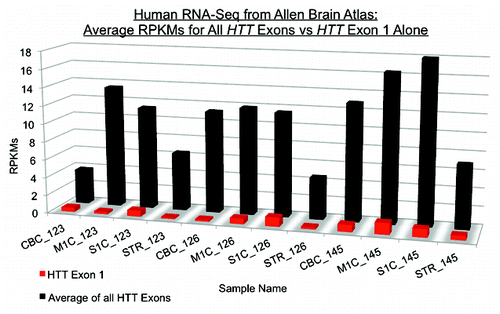 Figure 4. Human RNA-Seq data from Allen Brain Atlas demonstrates low representation of exon 1 coverage. RNA-Seq data from Allen is available as a table of exonic RPKMs. Plotted are HTT RPKMs for three individuals in four brain regions: cerebellar cortex (CBC), primary motor cortex (M1C), primary somatosensory cortex (S1C), and striatum (STR). RPKMs were averaged for all HTT exons (black) compared with RPKMs for exon 1 alone (red).