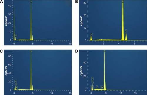 Figure 3 EDS spectra of the samples.Notes: (A) SLM and (B) MP samples were composited with 100% titanium. (C) Some oxygen and a little fluorine besides titanium on the surface of AO samples. (D) Titanium, oxygen, calcium, phosphorus, and fluorine were present on the surface of AOC samples.Abbreviations: EDS, X-ray energy dispersive spectrometry; SLM, selective laser melting; MP, mechanically polished; AO, anodic oxidation; AOC, anodic oxidation composited with electrochemical deposition.