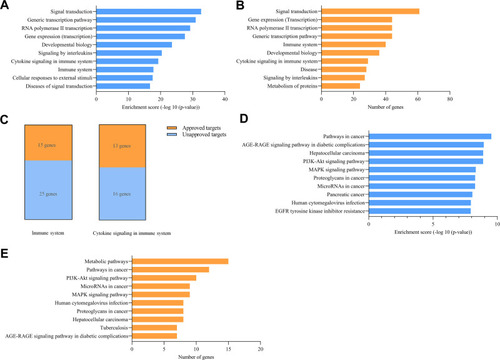 Figure 4 Analyses of discontinuation of two miRNA-based clinical projects. (A and B) Enrichment for targets of MRX34 in terms of enrichment score and number of genes. (C) Unapproved and approved targets number of MRX34 validated targets in the immune system and cytokine signaling in the immune system. (D and E) Enrichment for targets of miR-122 (drug RG-101) in terms of enrichment score and number of genes.