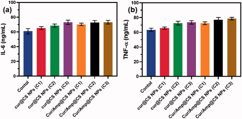 Figure 10. Quantitative measurement results of immune related gene expressions of (a) IL-6 and (b) TNF-α after treatment of prepared nanoformulations (control, Cur@CS NPs, and Cur/Amp@CS NPs).