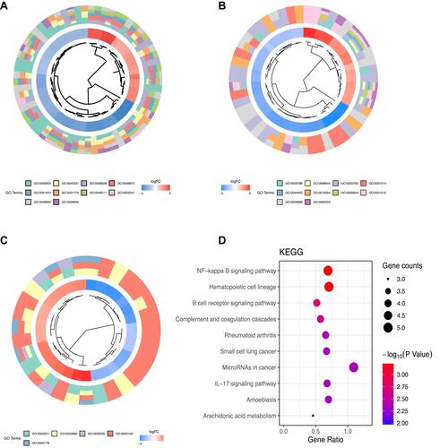 Figure 3 GO and KEGG pathway enrichment analyses of differentially expressed genes (DEGs). (A) Circular dendrogram depicts the relationship between genes and GO terms of biological process. (B) Circular dendrogram depicts the relationship between genes and GO terms of cellular component. (C) Circular dendrogram depicts the relationship between genes and GO terms of molecular function. (D) Bubble plot exhibits the relationship between genes and KEGG pathways.