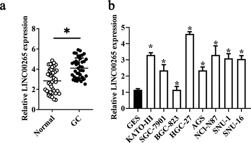 Figure 1. LINC00265 is overexpressed in GC tissue samples and cell lines. (a) The expression of LINC00265 was analyzed in 32 pairs of GC tissue samples and adjacent normal gastric tissues using RT-qPCR. *P < 0.05 vs. the normal gastric tissues. (b) RT-qPCR was performed to determine LINC00265 expression in eight GC cell lines (KATO-III, SGC-7901, BGC-823, HGC-27, AGS, NCI-N87, SNU-1, and SNU-16) and normal gastric cells (GES cells). *P < 0.05 vs. GES cells