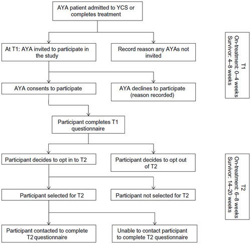 Figure 1 Participant flow for on-treatment and survivor AYAs.