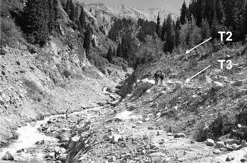 Figure 7 View of Kumbelsu Creek study reach looking upstream (east); terraces T3 and T2 can be seen on the right of the valley.