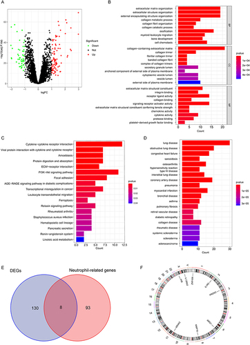 Figure 3 Identification of hub genes related to neutrophils in IPF. (A) Volcano plot of the DEGs between IPF and healthy controls lung samples in the meta-GEO cohort. (B) GO functional enrichment analysis of the DEGs. (C) KEGG functional enrichment analysis of the DEGs. (D) DO functional enrichment analysis of the DEGs. (E) Venn diagram of the intersection genes between the DEGs and neutrophil-related genes. (F) Circos diagram depicting the chromosomal locations of hub genes.