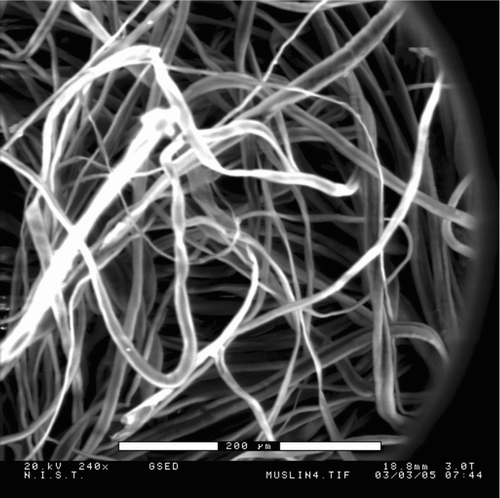 FIG. 8 Environmental SEM image of the muslin cloth.