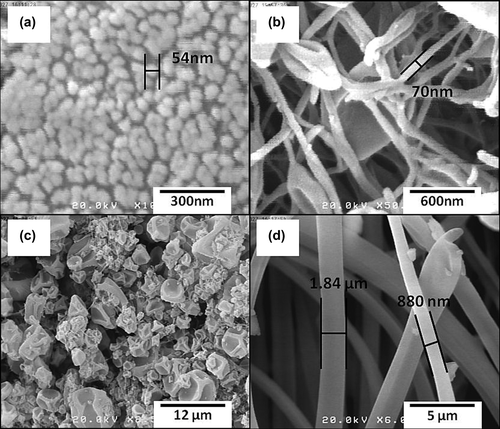 Figure 1. SEM images for TA-Eudragit® RS100 electrosprayed samples (a) and (b): samples with the drug: polymer ratio of 1:5 and solution concentrations of 10% (a) and 20% (b). (c) and (d): samples with the drug: polymer ratio of 1:10 and solution concentrations of 10% (c) and 20% (d).