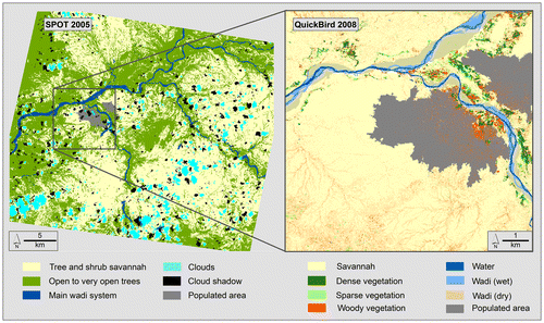 Figure 4. Results of the land cover classifications.