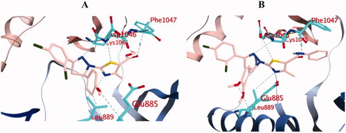 Figure 14. 3D diagram of compounds 10b (A) and 10d (B) showing their binding interaction with the VEGFR-2 active site (PDB: 4ASD).