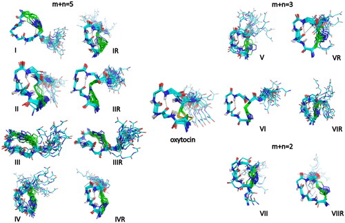 Figure 4. Superimposition of the 20 lowest energy structures of OT and analogues in water. Backbone atoms are shown with the following colours: carbon in cyan, nitrogen in blue, oxygen in red, amide hydrogen in white. The side-chain atoms of the bridging residues (1,6) are also displayed (carbon in green, sulphur in yellow). When present, hydrogen bonds are highlighted in black. As in OT, analogues IR, II and IIR, IVR, V and VR, VI and VIR, and VII and VIIR adopt the type I β-turn conformation centred on Ile(3)-Gln(4) (the H-bond between Tyr(2) CO and Asn(5) HN groups is highlighted in black). Peptide I exhibits a H-bond between residue 6 amide proton and one nitrogen of the triazole ring. Peptides III, IIIR and VIR present an inverse γ-turn on Asn(5). Peptide IV has a flexible skeleton.