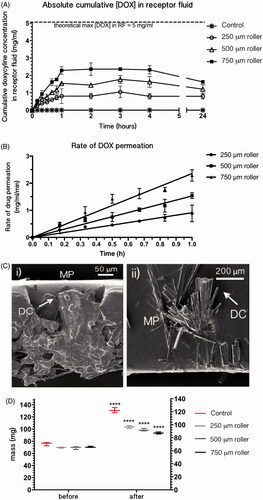 Figure 3. Effect of microneedle application on doxycycline permeation through Strat-MTM membrane (n = 4): (A) Cumulative concentration of doxycycline in receptor compartment fluid after treatment with 250, 500 and 750 μm microneedle lengths. (B) Rate of drug permeation from linear regression of cumulative doxycycline concentration during the hour-long lag period. Error bars represent the standard error of the mean. (C) SEM images of doxycycline crystals [DC] retained in and on the Strat-MTM membrane shown occluding micropores [MP] in Strat-MTM membrane treated with 500 μm rollers (left) and doxycycline crystal formation on the membrane surface (right). (D) Box and whisker plots comparing the dry mass of membrane before microneedle permeation (‘before’) with the mass after the permeation study and post-desiccation (‘after’). ‘Control’ represents the membrane samples which had not been treated with rollers; **** = p < .0001.